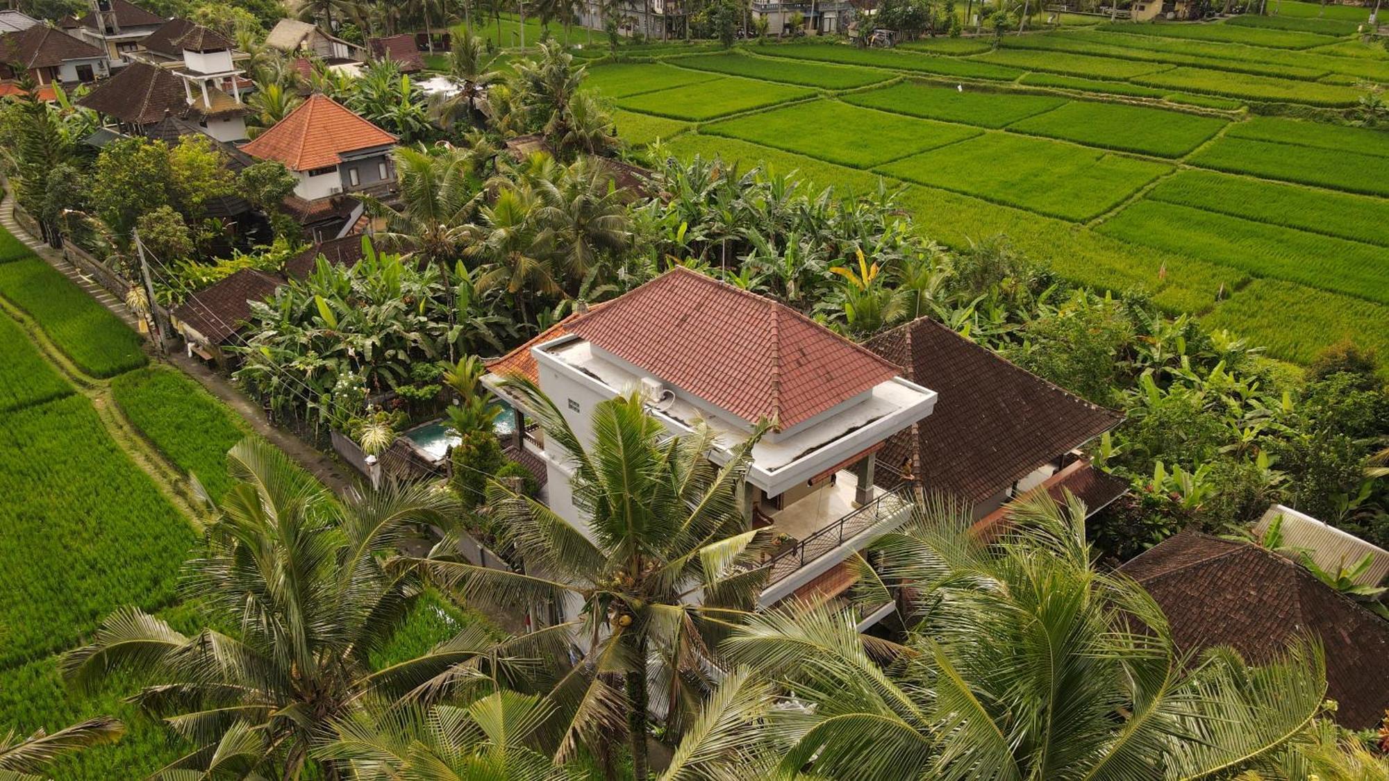 Nirwa 1 Ubud Guesthouse Bagian luar foto